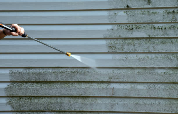 Animal Enclosure Cleaning in Abbeville, SC